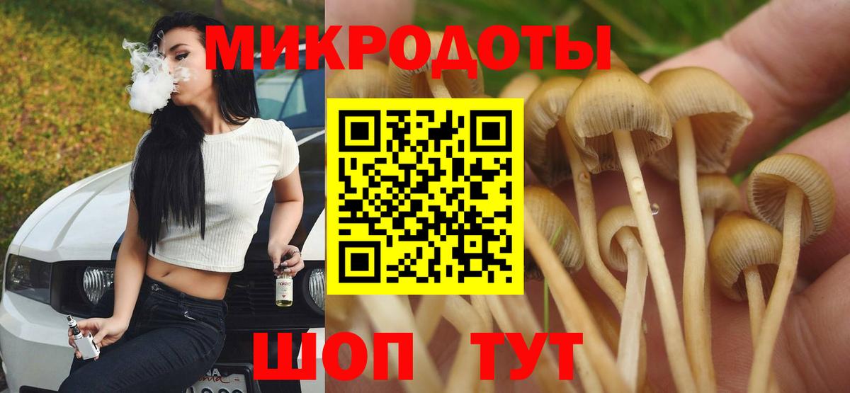 Партизанск  Псилоцибиновые грибы мухоморы  Галлюциногенные грибы Magic Shrooms  Вход с VPN 